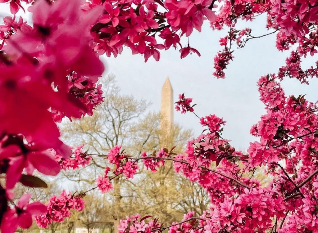 27 Magnificent Things To Do In D.C. This May