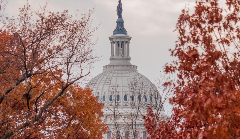 This Interactive Map Predicts When Fall Foliage Will Peak In D.C.—And It’s Soon