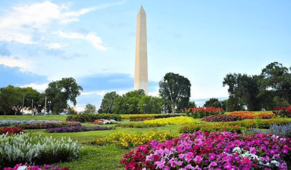 7 Must-Visit Flourishing Botanical Gardens In D.C.